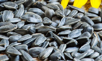 SUNFLOWER SEEDS